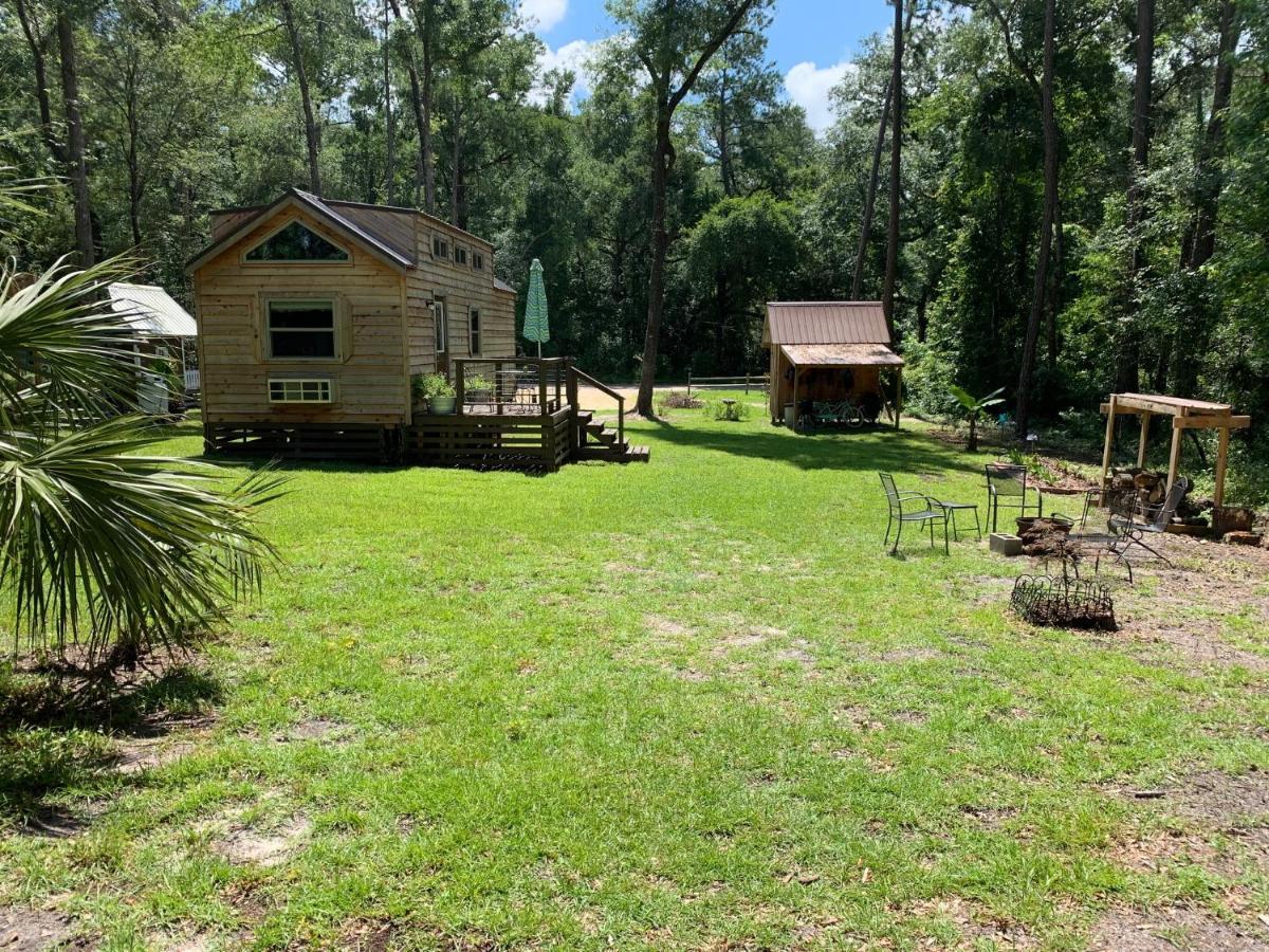 The Suwannee River Hide-A-Way Mayo Екстериор снимка